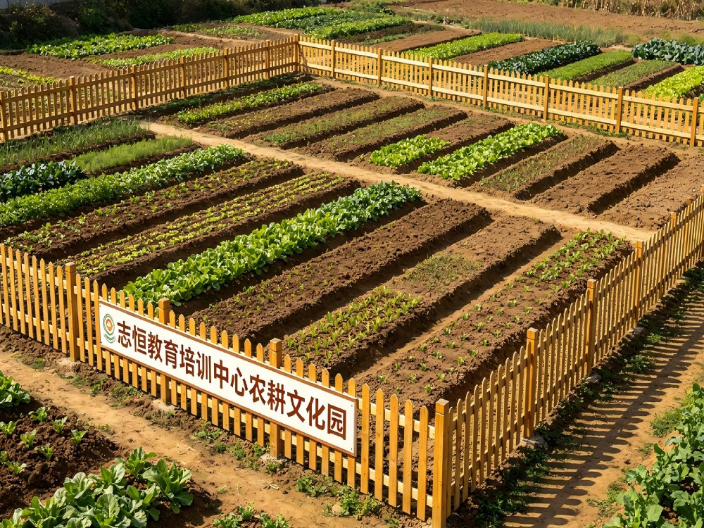 玉林靠谱的全封闭教育学校,志恒教育培训学校深度解析